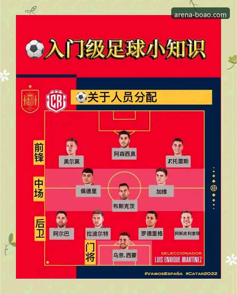 世界杯附加赛绝杀夜必备观赛知识——从民主刚果晋级看足球魅力